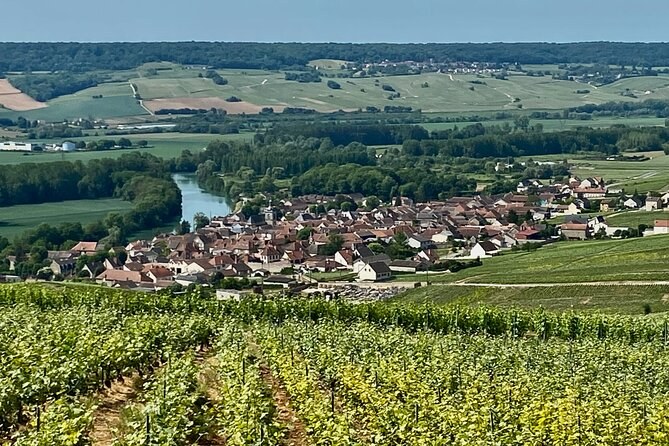 A village of red roofs among vines, a river curving through the valley behind