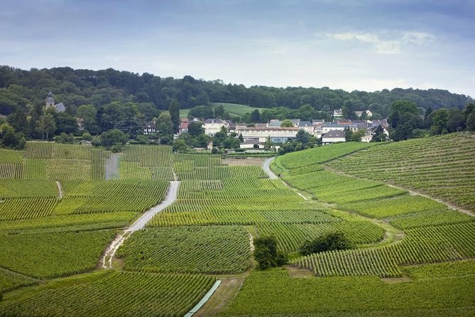 Vineyard slopes cut by chalk tracks, a village and a large house among the trees beyond